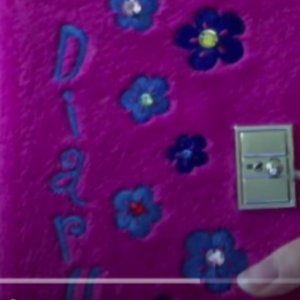 claire's diary ( I dont have it looking 4 it!!!!)